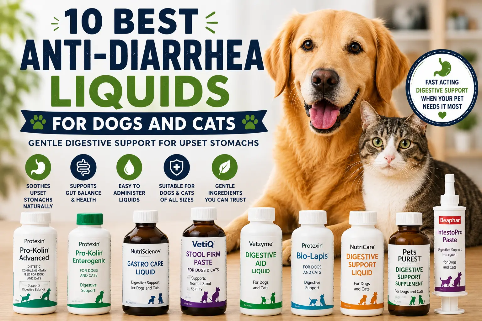 Anti-Diarrhea Liquids for Dogs and Cats UK